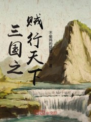 三国之贼行天下