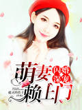 闪婚深宠，萌妻赖上门！