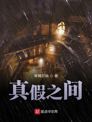 真假之间