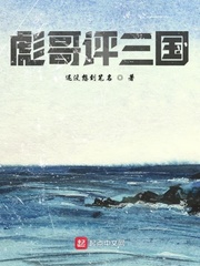 彪哥评三国