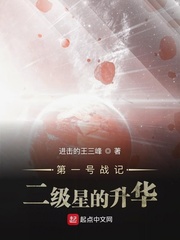 第一号战记二级星的升华