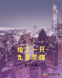 捡了一只九尾灵猫