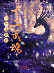 斗罗之我有十二武魂