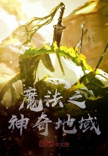 魔法之神奇地域