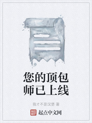 您的顶包师已上线