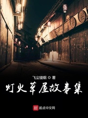 灯火草屋故事集