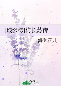 [琅琊榜]梅长苏传