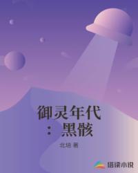 御灵年代：黑骸