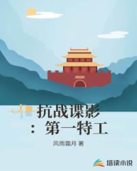 抗战谍影：第一特工